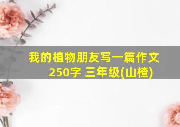 我的植物朋友写一篇作文250字 三年级(山楂)